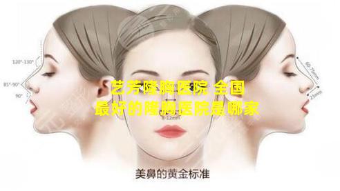艺芳隆胸医院 全国最好的隆胸医院是哪家